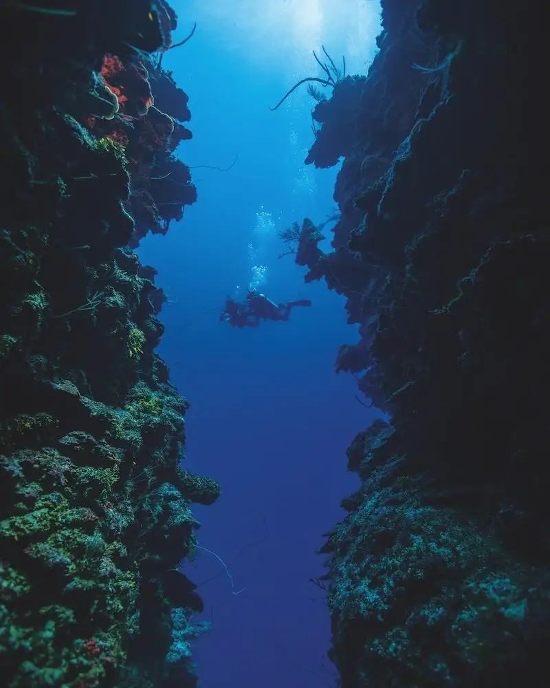 Deep Diver