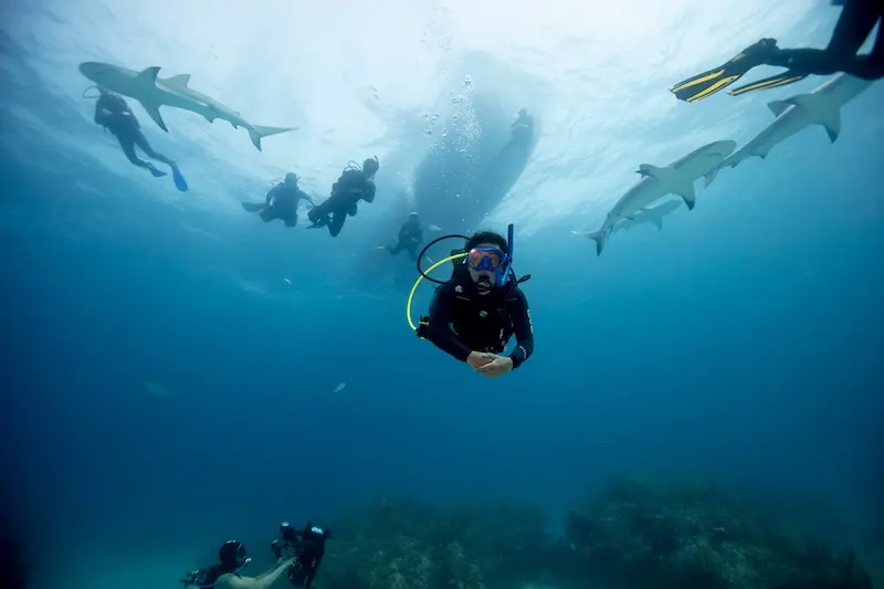 Scuba Diver